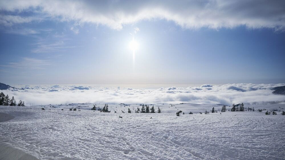 施設からの眺望