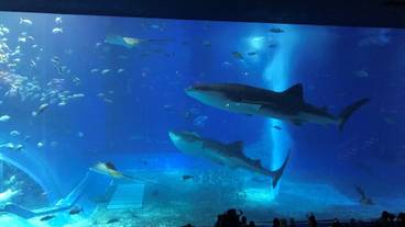 観光スポット / 10