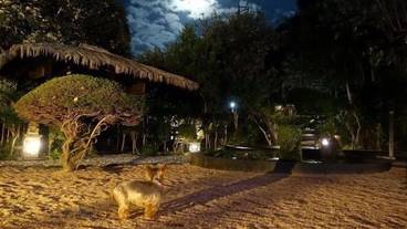 施設の敷地 / 14