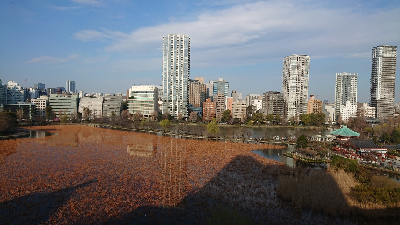 カーテンを開けると不忍池が目の前