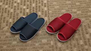 モデレート ダブル