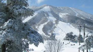 スキー ヒル / 5