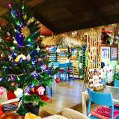 Ma-Blue Garden House（沖縄県 コテージ・ロッジ・一棟貸） / 3