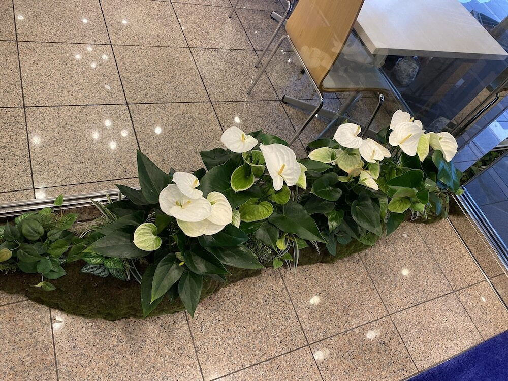 内部エントランス