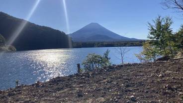 シティ ビュー / 22