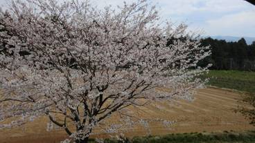 バルコニーからの眺望 / 20