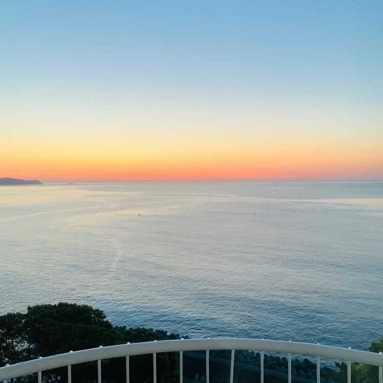 ayu_sakashitaさんの写真 / 1