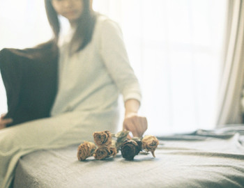 冬の自然光は綺麗。