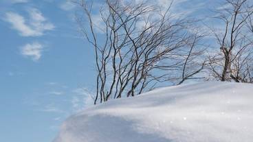 施設からの眺望 / 19