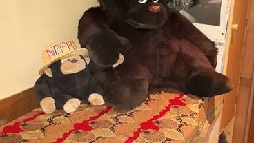 レストラン / 17