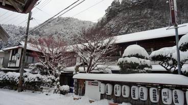 施設の敷地 / 12