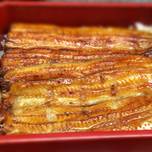 浅草で老舗の「うなぎ」を。奥深い味わいのおすすめ鰻重10選