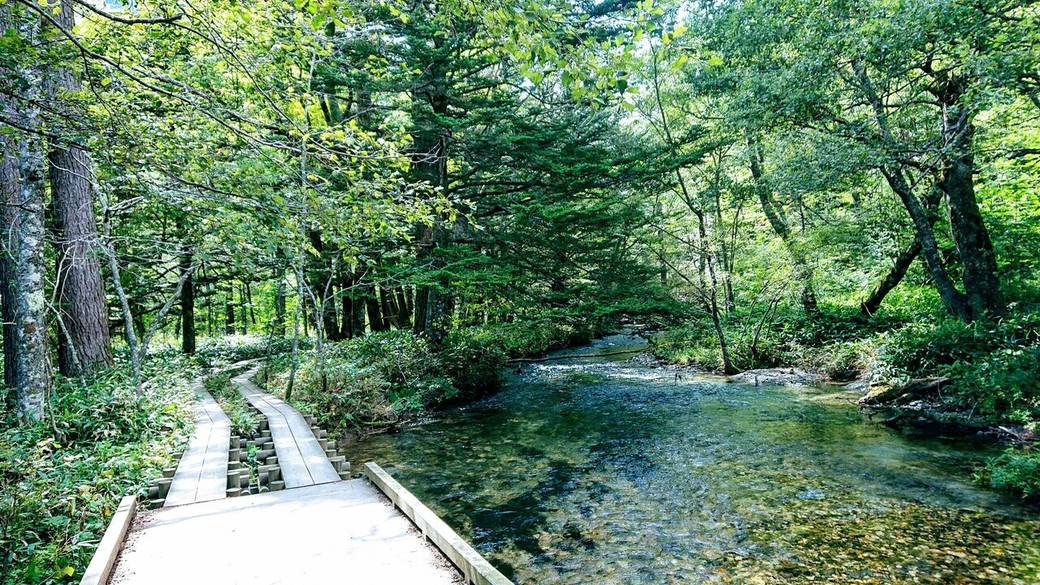 上高地遊歩道 / 2