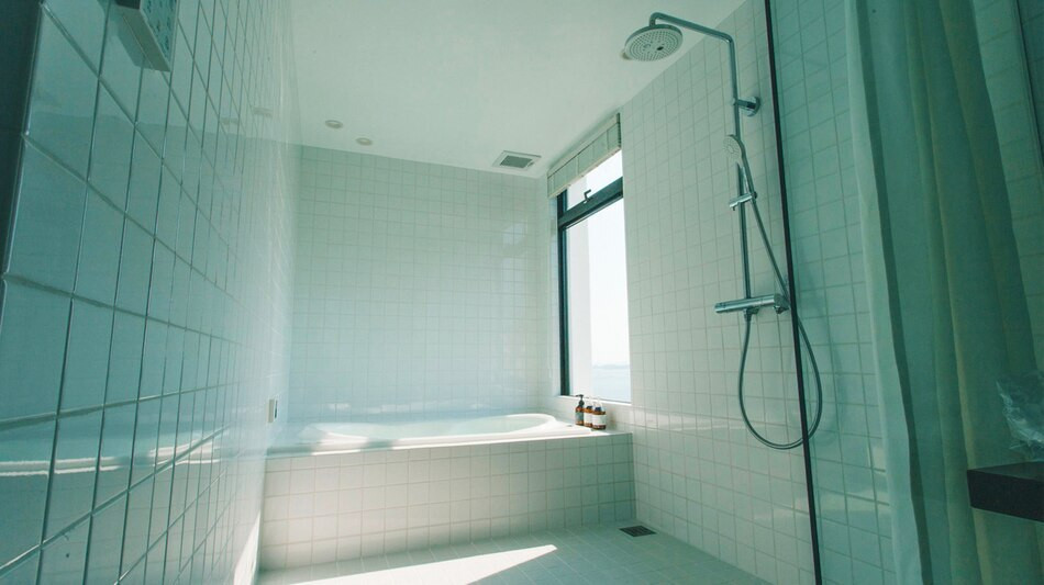 BLUE STEAK WONDER SENAHA3648090