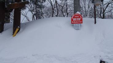 施設の敷地 / 13