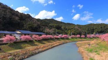 マウンテン ビュー / 4