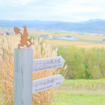 メルヘンな旭川・美瑛でフォトジェニックな旅を楽しもう♪3929150