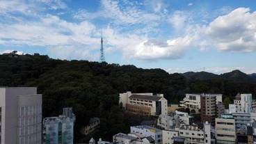 部屋からの景観 / 36