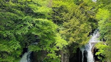 観光スポット / 24