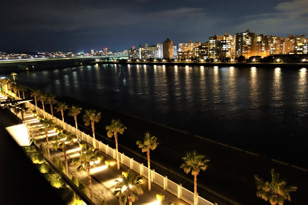 一日中非日常が続くオーシャンビュー3082335