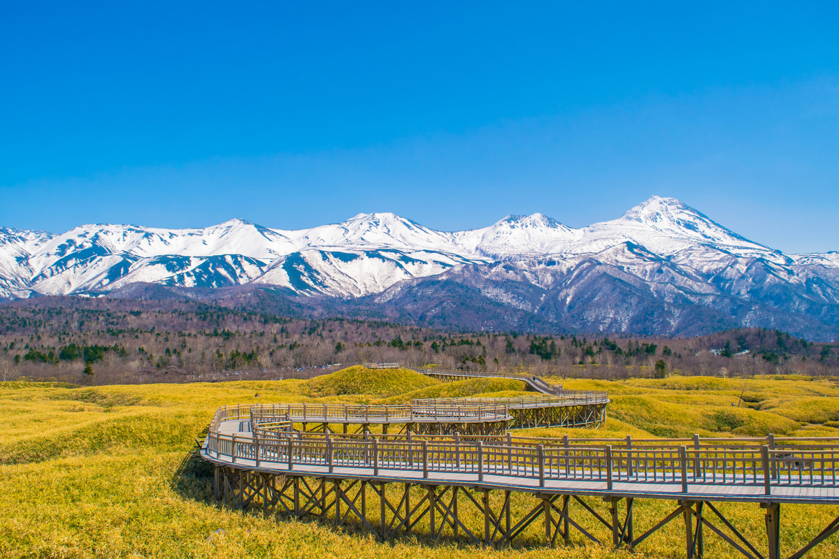 知床五湖 高架木道
