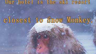 観光スポット / 21