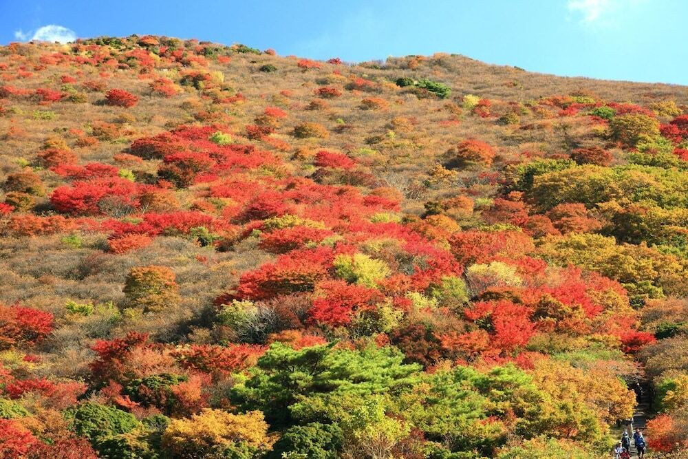 施設の敷地