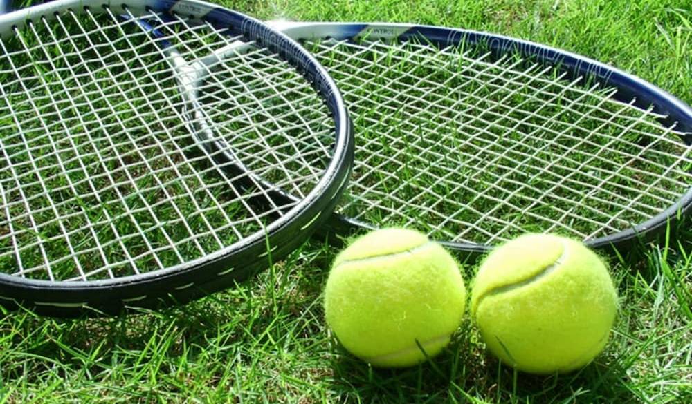 爽やかな空気を
味わうガーデン散策 / 4