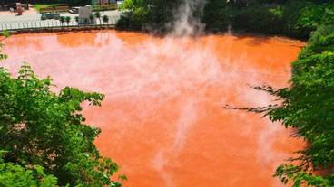 観光スポット / 15