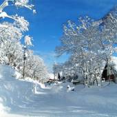 斑尾 エルム ペンション（長野県 ペンション） / 4