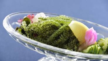 食事・飲み物 / 5