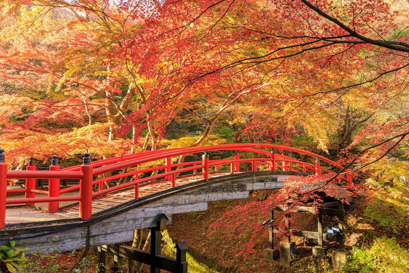 伊香保温泉　河鹿橋　紅葉