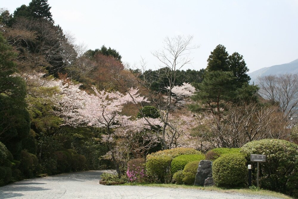 情緒たっぷり広いお庭でお散歩♪老舗旅館でタイムスリップのような体験を4045744