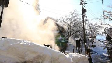 施設の敷地 / 12