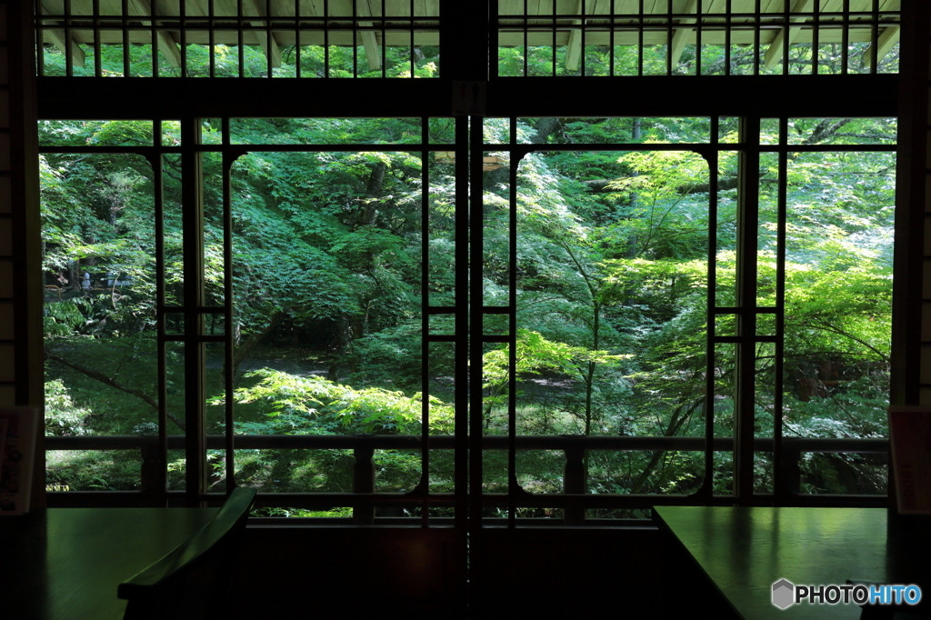醍醐寺（だいごじ）1584147