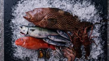 レストラン / 38