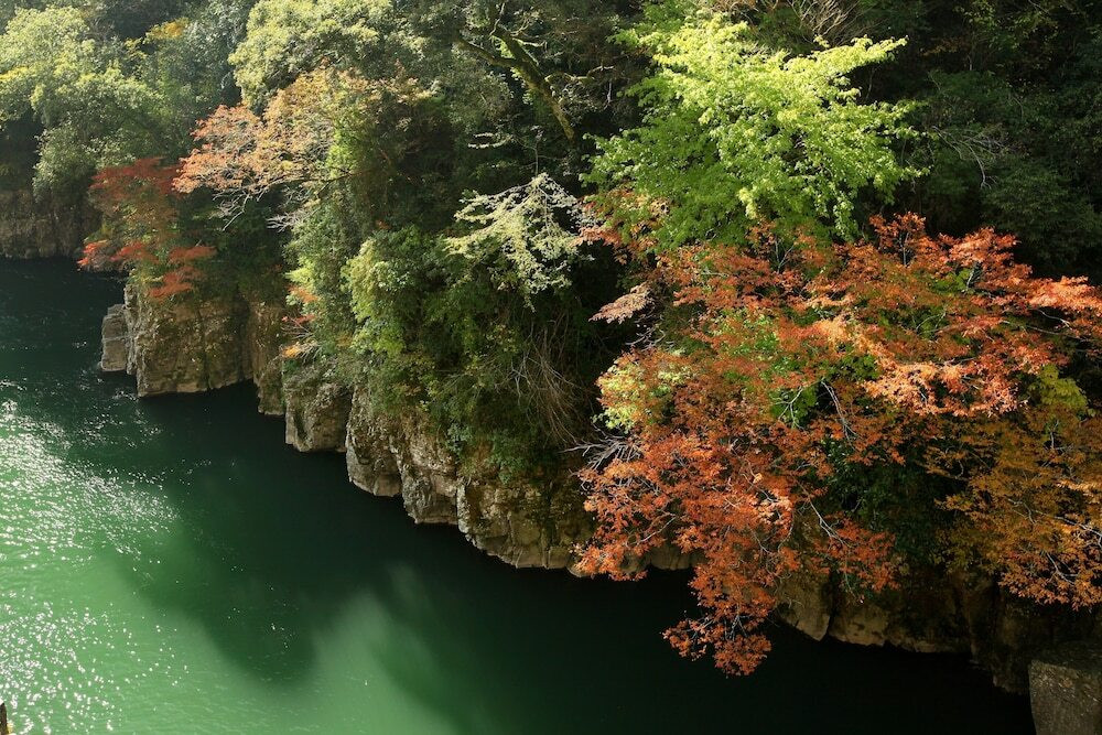 施設からの眺望