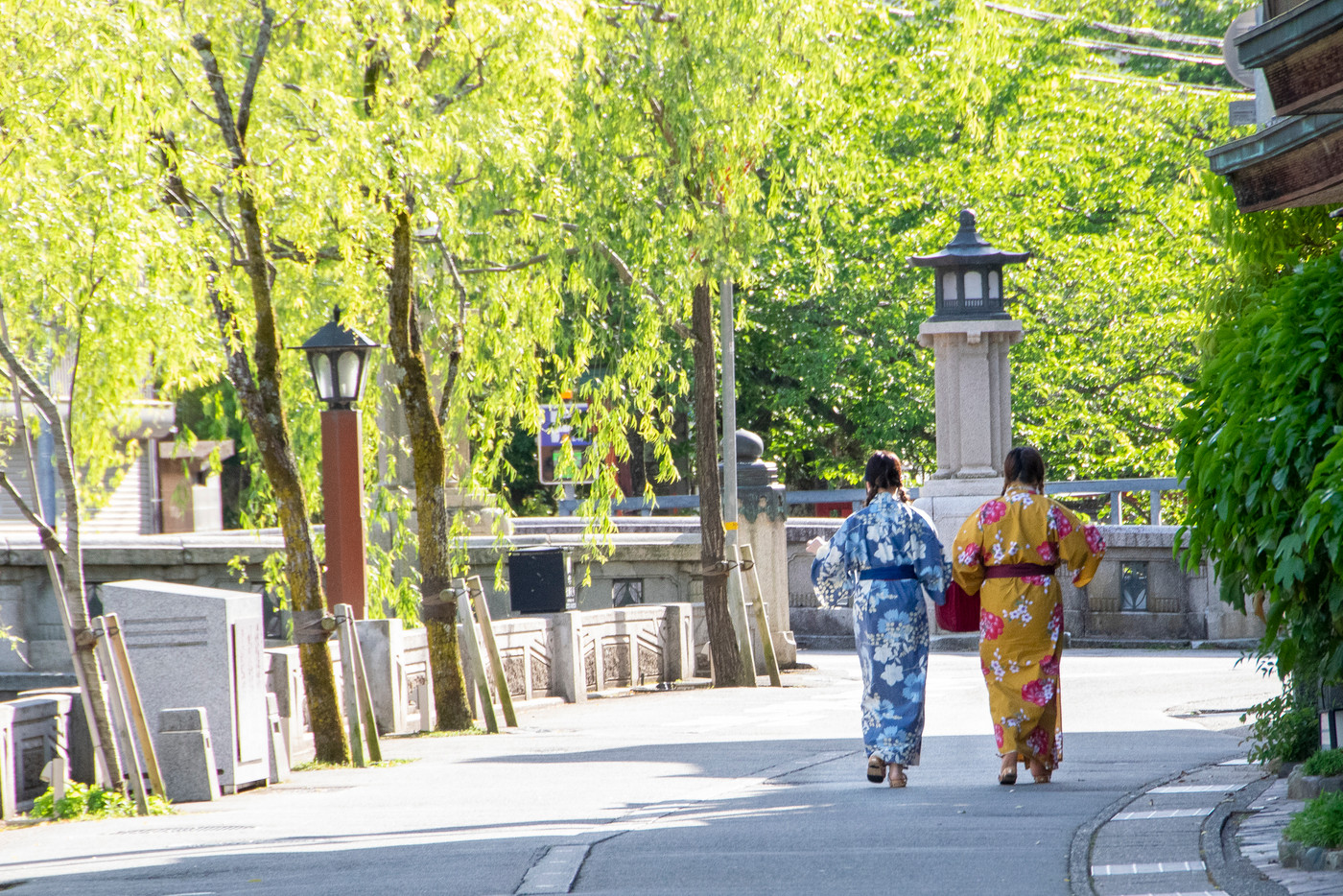 柳の木のそばを歩く浴衣姿の二人の女性