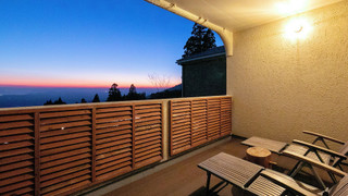 デラックスヴィラ露天風呂付 パラディー