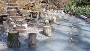 大湯沼川天然足湯 / 2