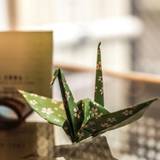 歓迎の折り鶴 / 1