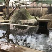 塩原温泉 赤沢温泉旅館（栃木県 旅館） / 2