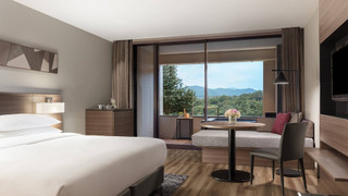 デラックス ルーム キングベッド 1 台 ガーデンビュー (with Outside Hot Spring)