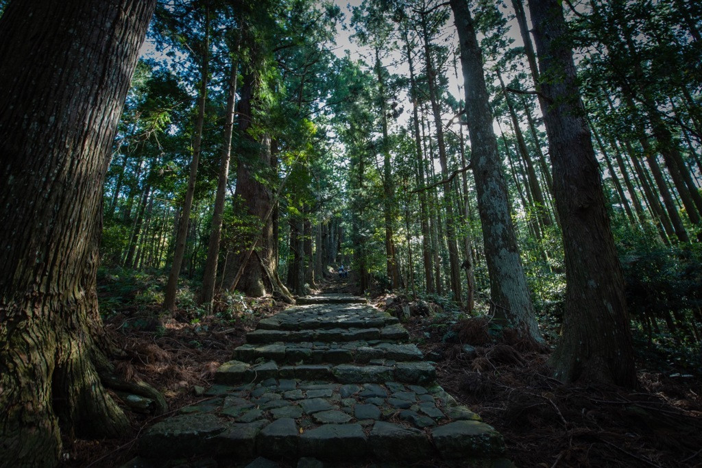 【熊野市】山間に佇む秘境の湯「湯ノ口温泉」3846211