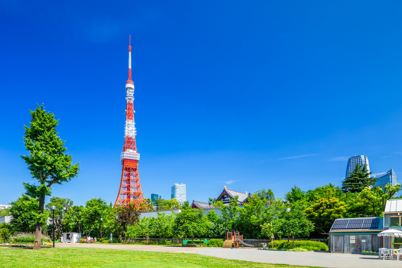 東京　春の芝公園と東京タワー