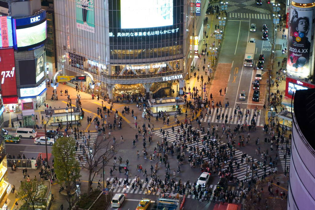 いつも騒がしい音ばかりで耳も頭もうんざり3486537