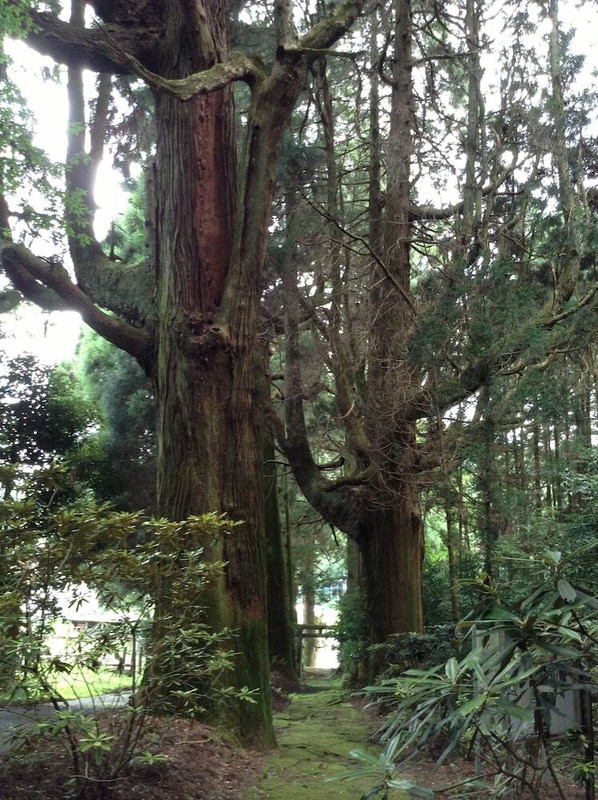 施設からの眺望