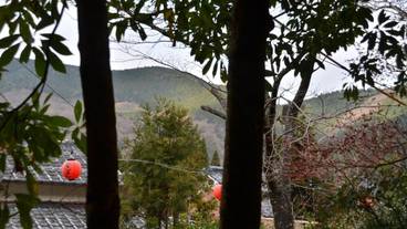 施設の敷地 / 10