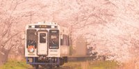【長崎】心満たされる列車の旅。松浦鉄道で巡りたい「一人旅スポット」7選