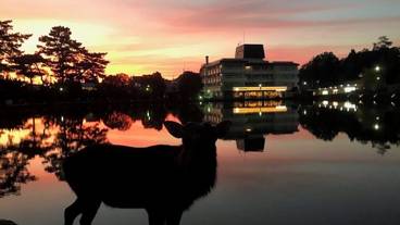 ランド ビュー / 24